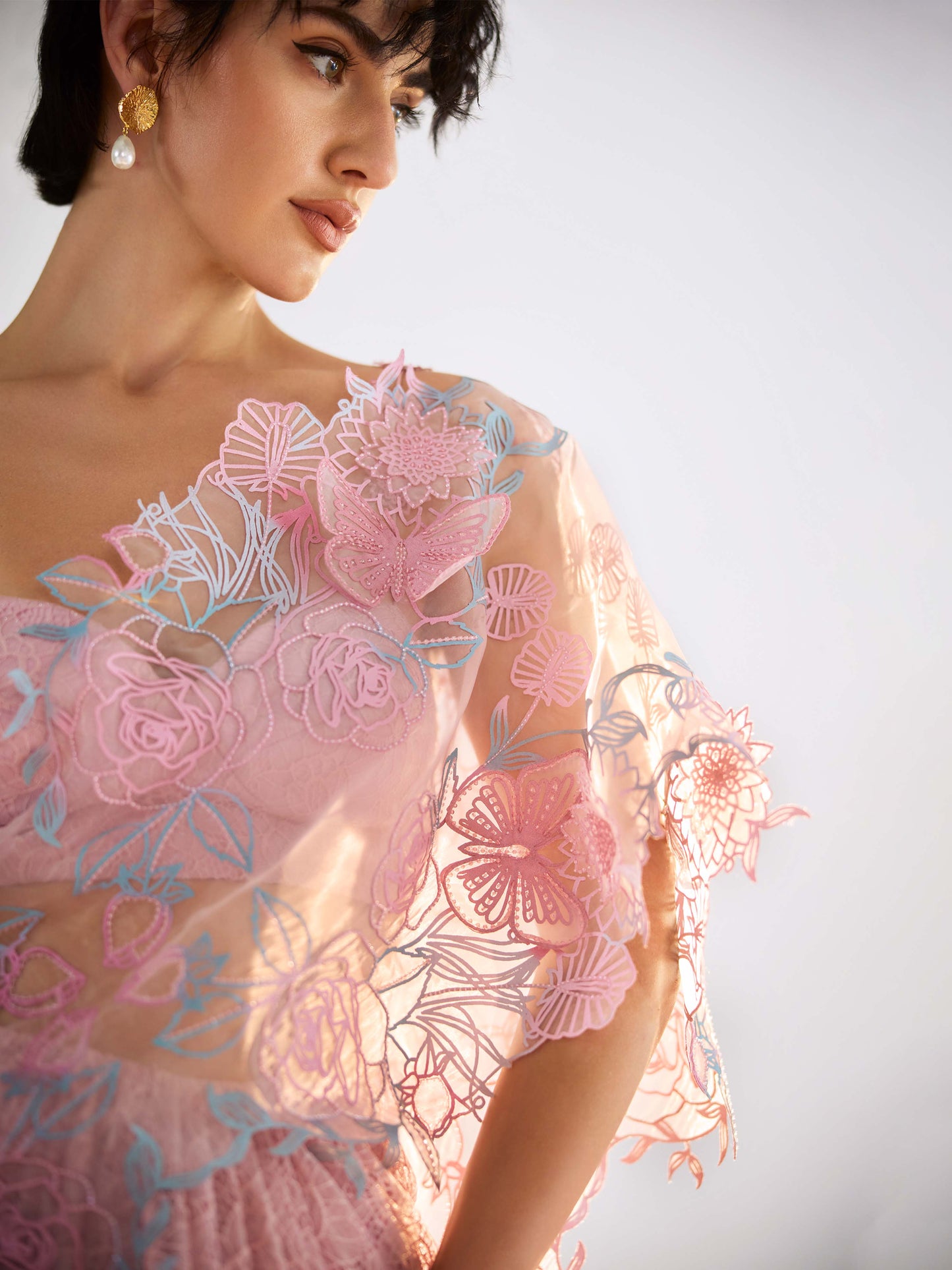 Butterfly Dahlia Saree