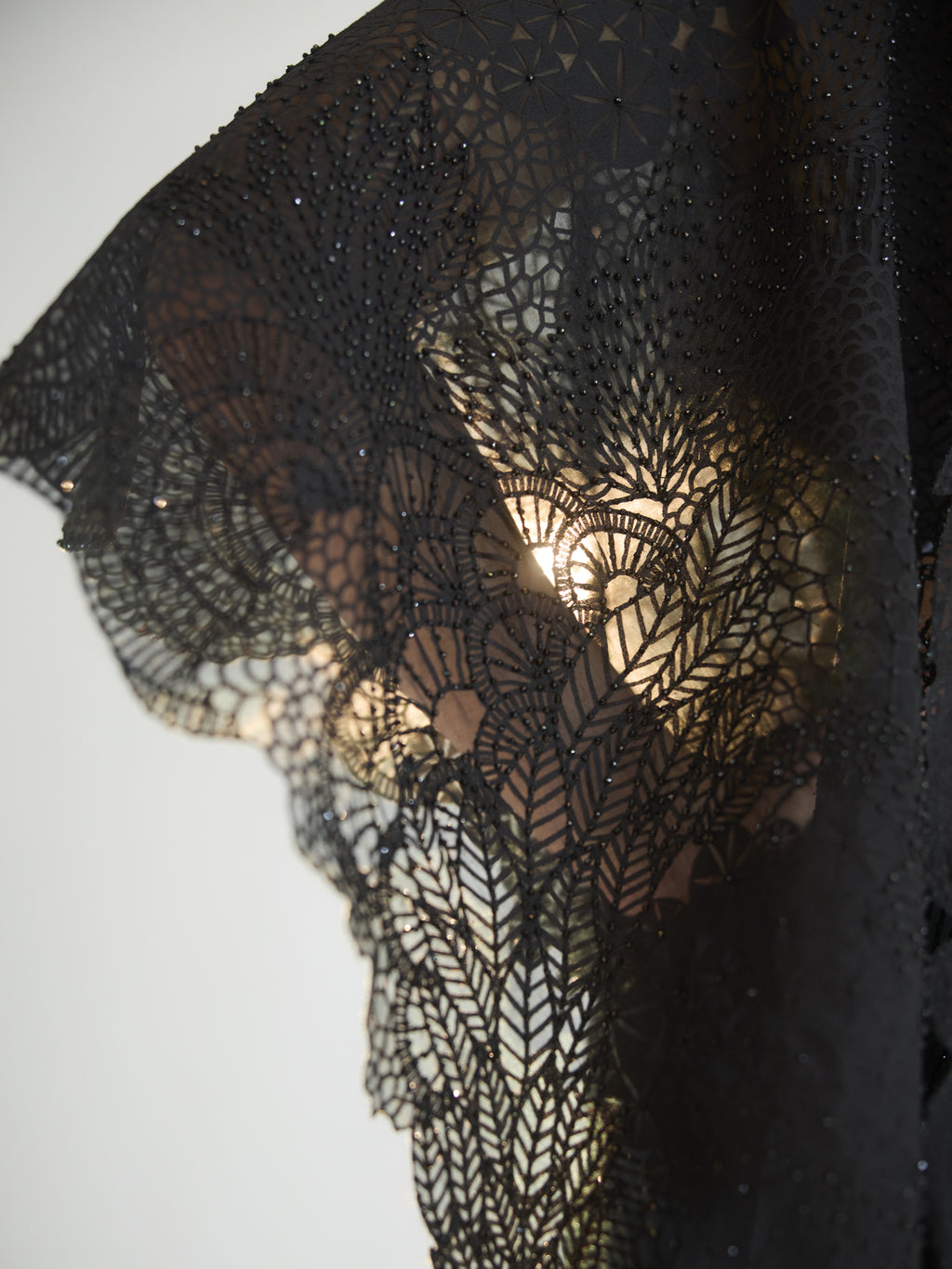 Midnight Moss Saree