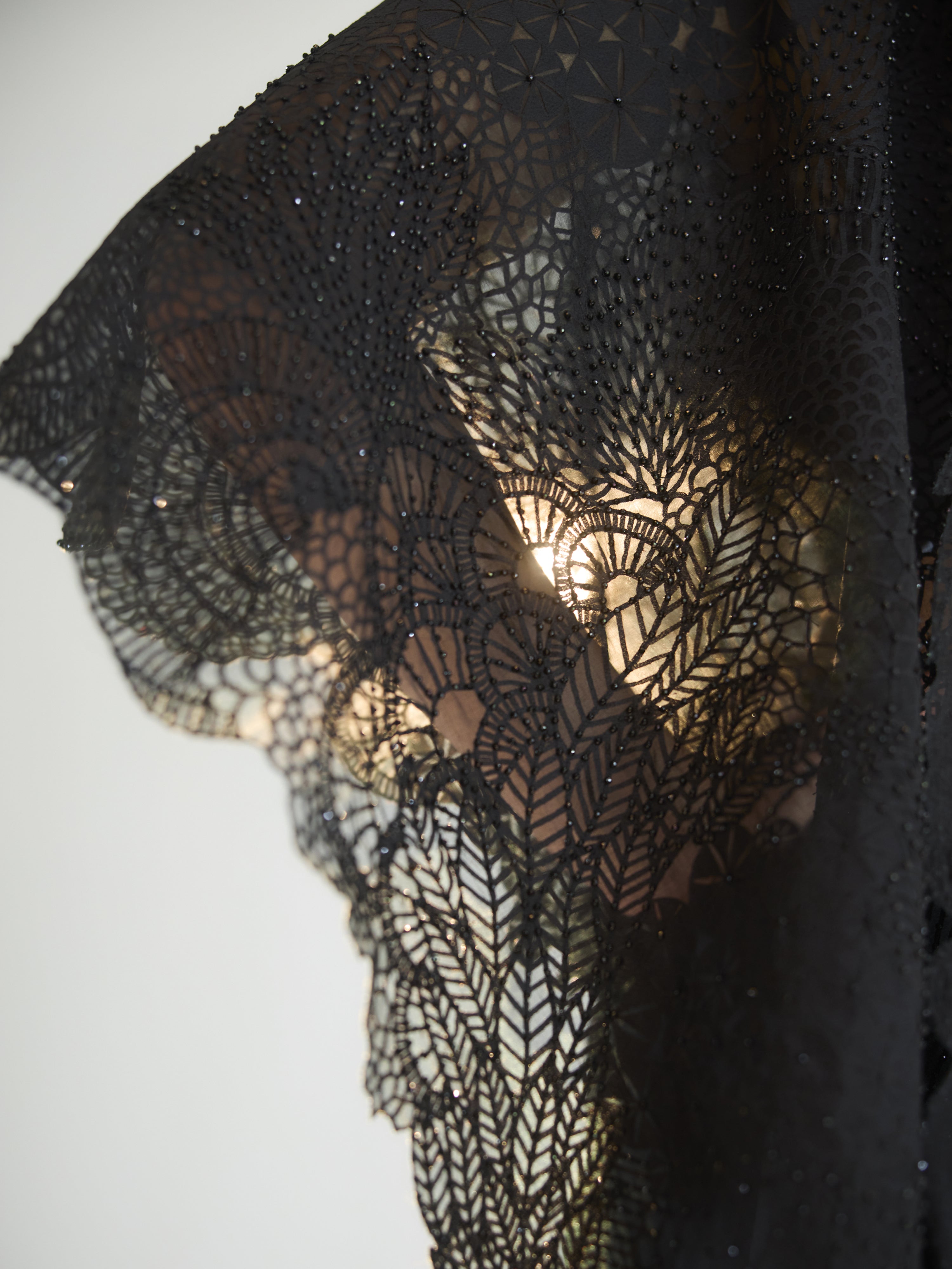 Midnight Moss Saree