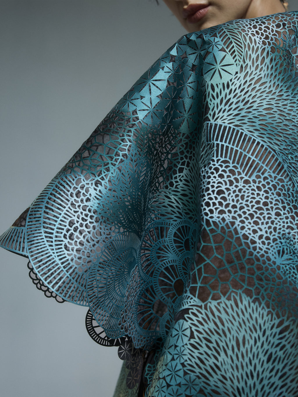 Moss Forest Saree