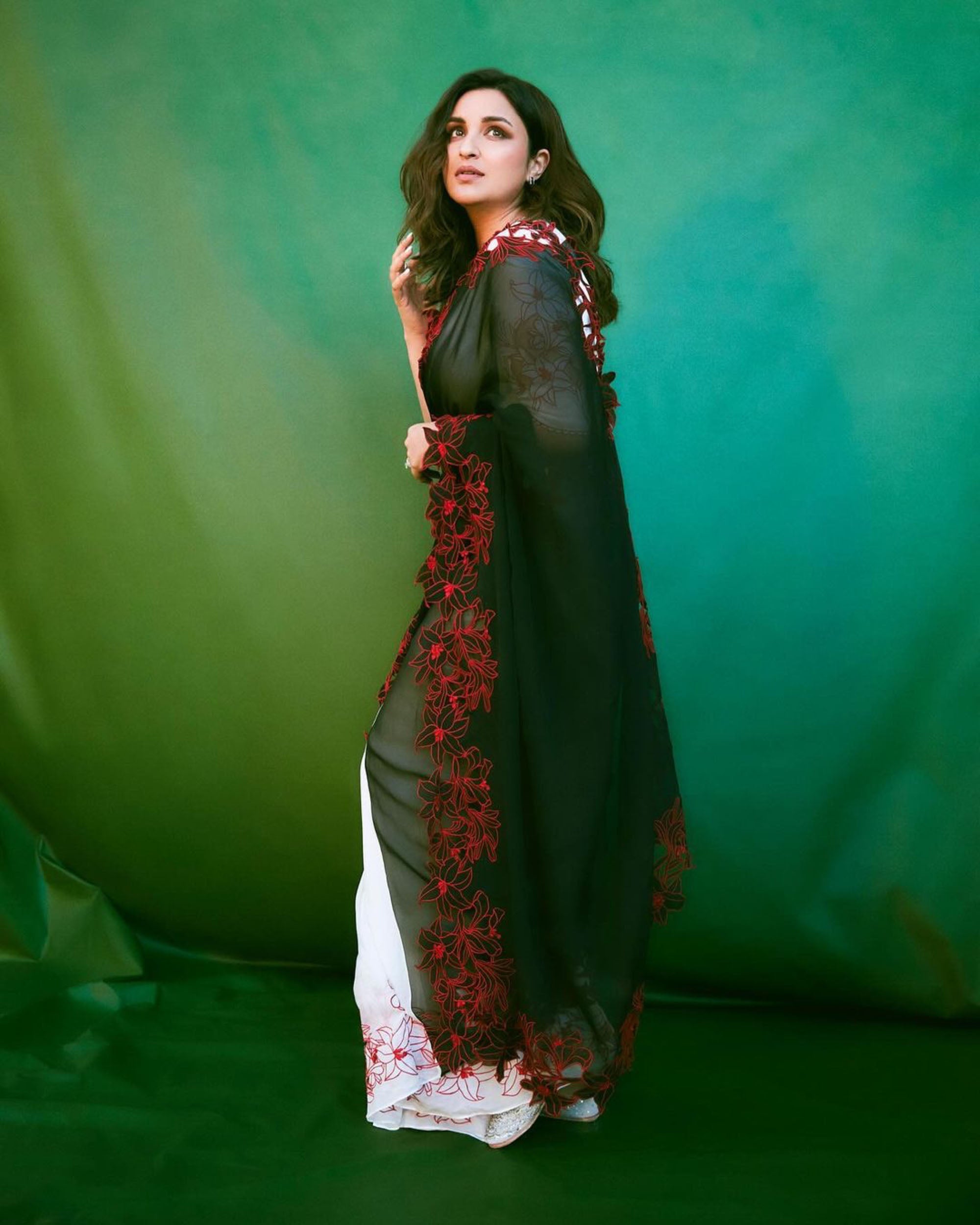 Colour block saree set with embroidered lilies