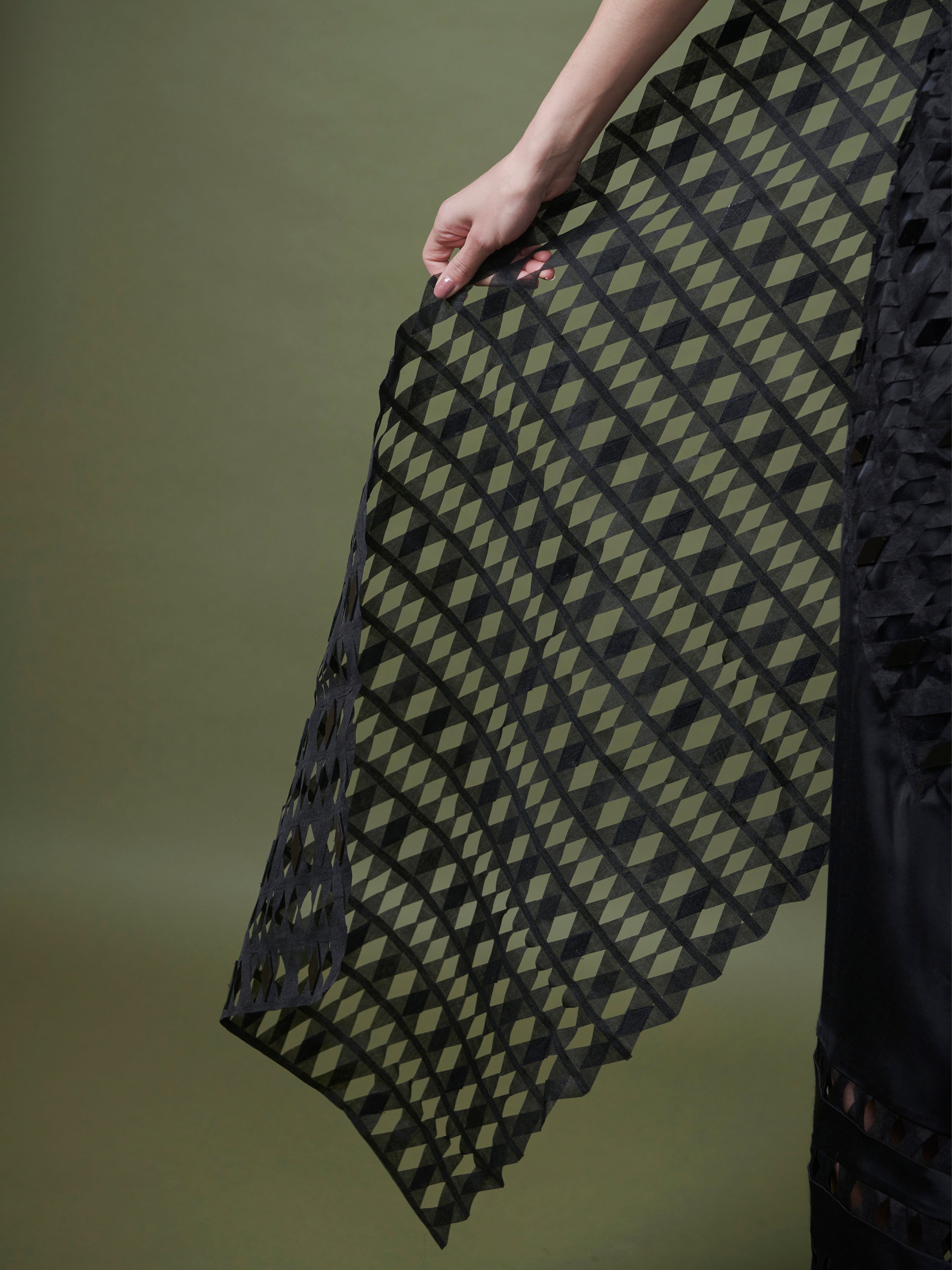 Beaded organza gauze saree